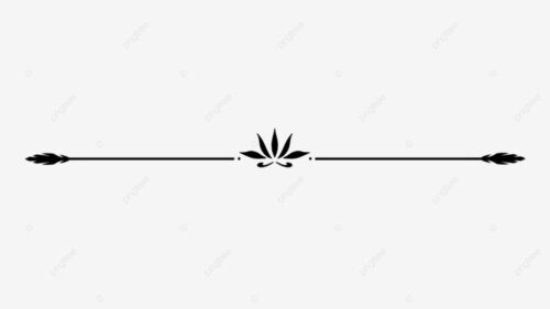 Mejora tus presentaciones con líneas divisorias creativas