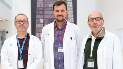 Telas de lujo en Casas Castilla: La elegancia en tu hogar Poliéster